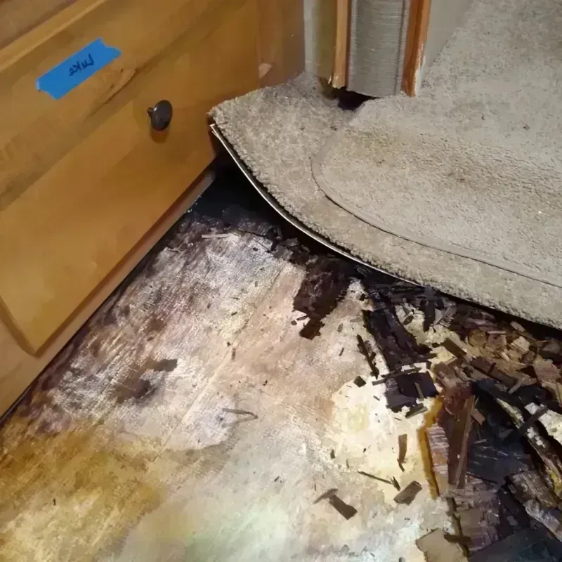 Wood Floor Water Damage in Richmond County, VA